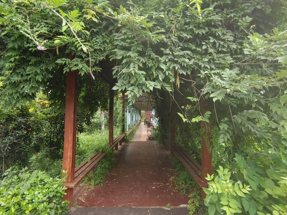 "ഺķI(xin)ͬW(xu)֧̉cȼĸУ|ތW(xu)УW(xu)"